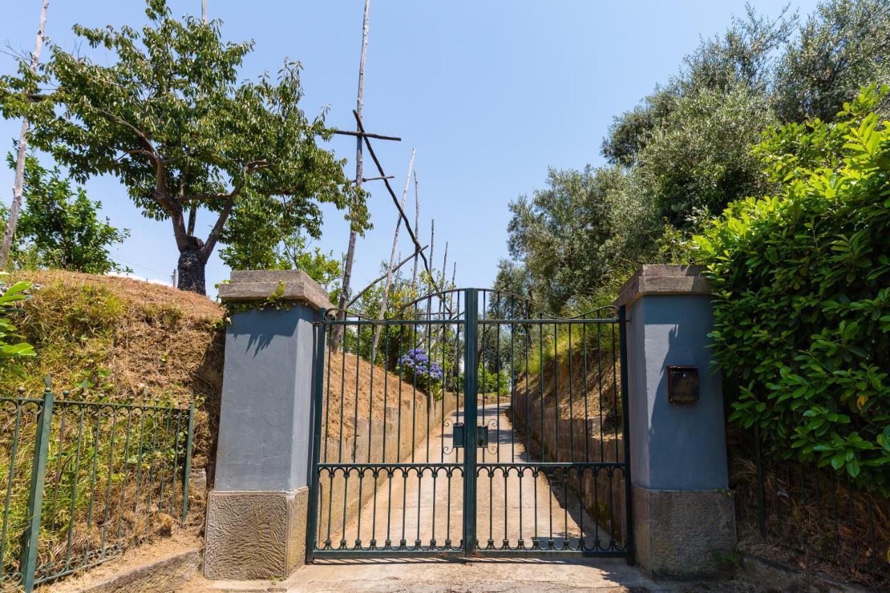 Villa Ada Sorrent Exterior foto